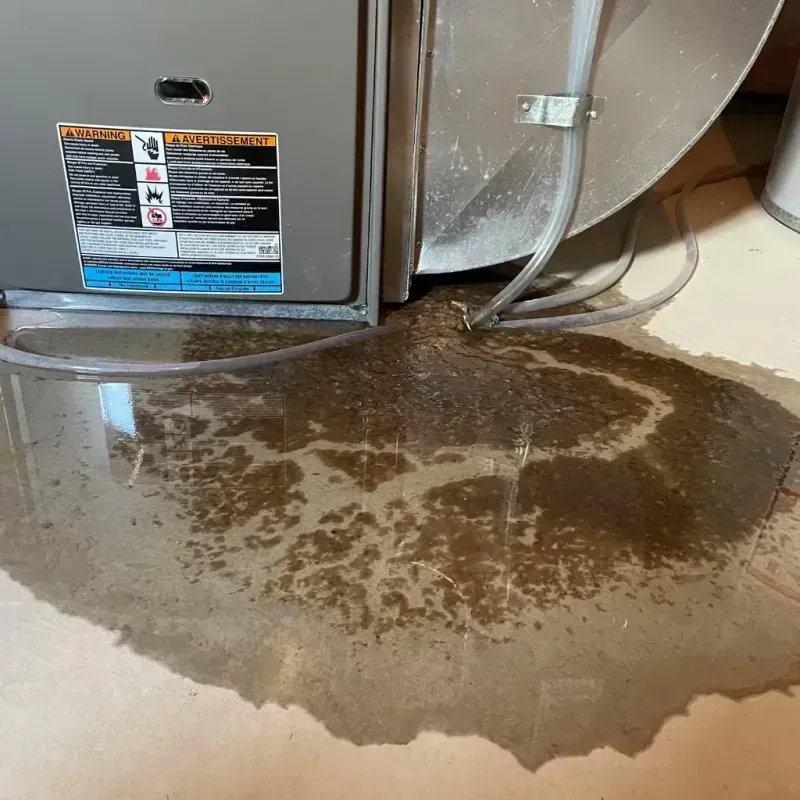 Appliance Leak Cleanup in Owosso, MI